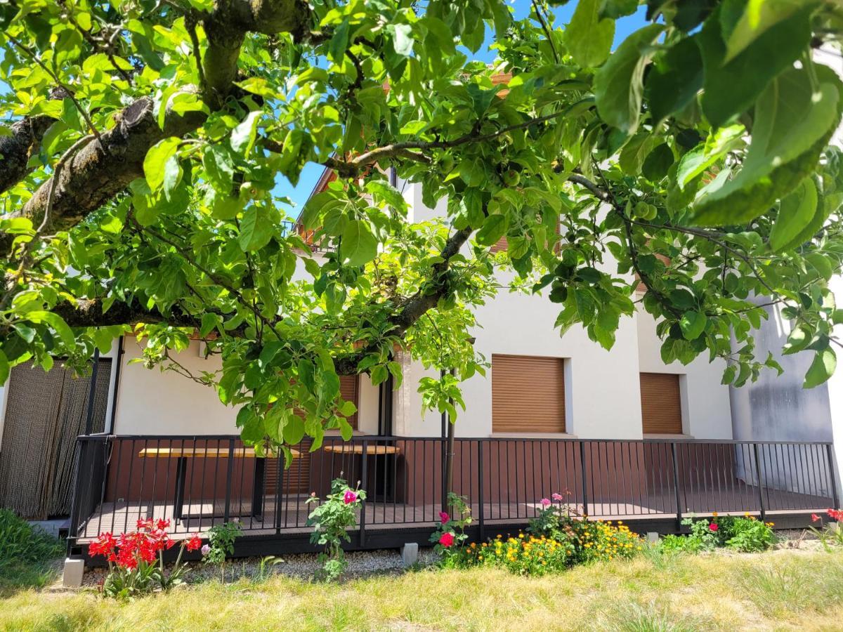 Casa Julio, Bonita Casa Comoda Y Espaciosa, Totalmente Reformada Con Terraza Y Jardin Privado Riezu ภายนอก รูปภาพ